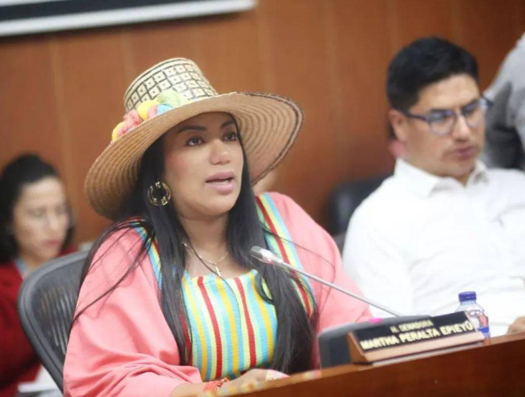 La senadora Martha Peralta. Foto: Congreso