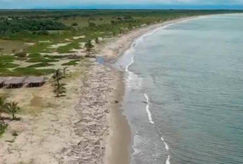 $!En Necoclí cierran unas playas para proteger cuatro especies de tortugas marinas