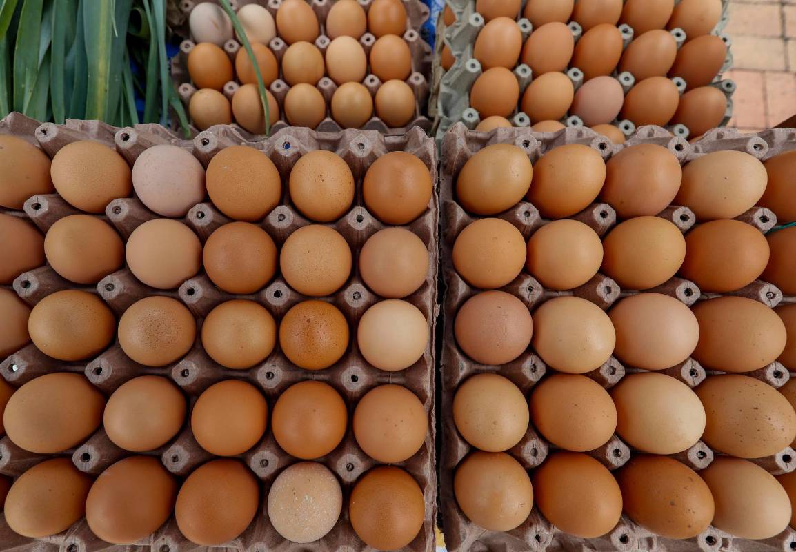 El mercado campesino, busca la comercialización de manera directa de los diferentes productos agropecuarios por parte de los campesinos. Foto: Manuel Saldarriaga Quintero.