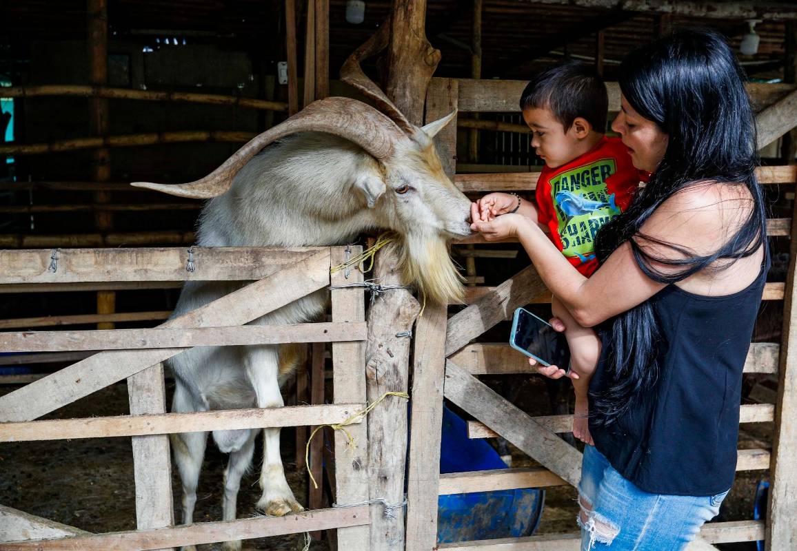 El 50 % de las ganancias del parque se destina a obras sociales para la comuna 13. En promedio, unas 800 personas visitan el lugar a diario. Foto: Manuel Saldarriaga Quintero.