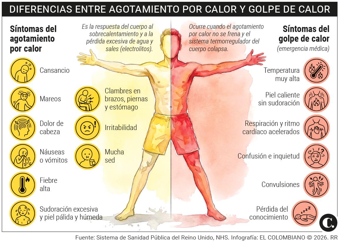 InfogrÃ¡fico