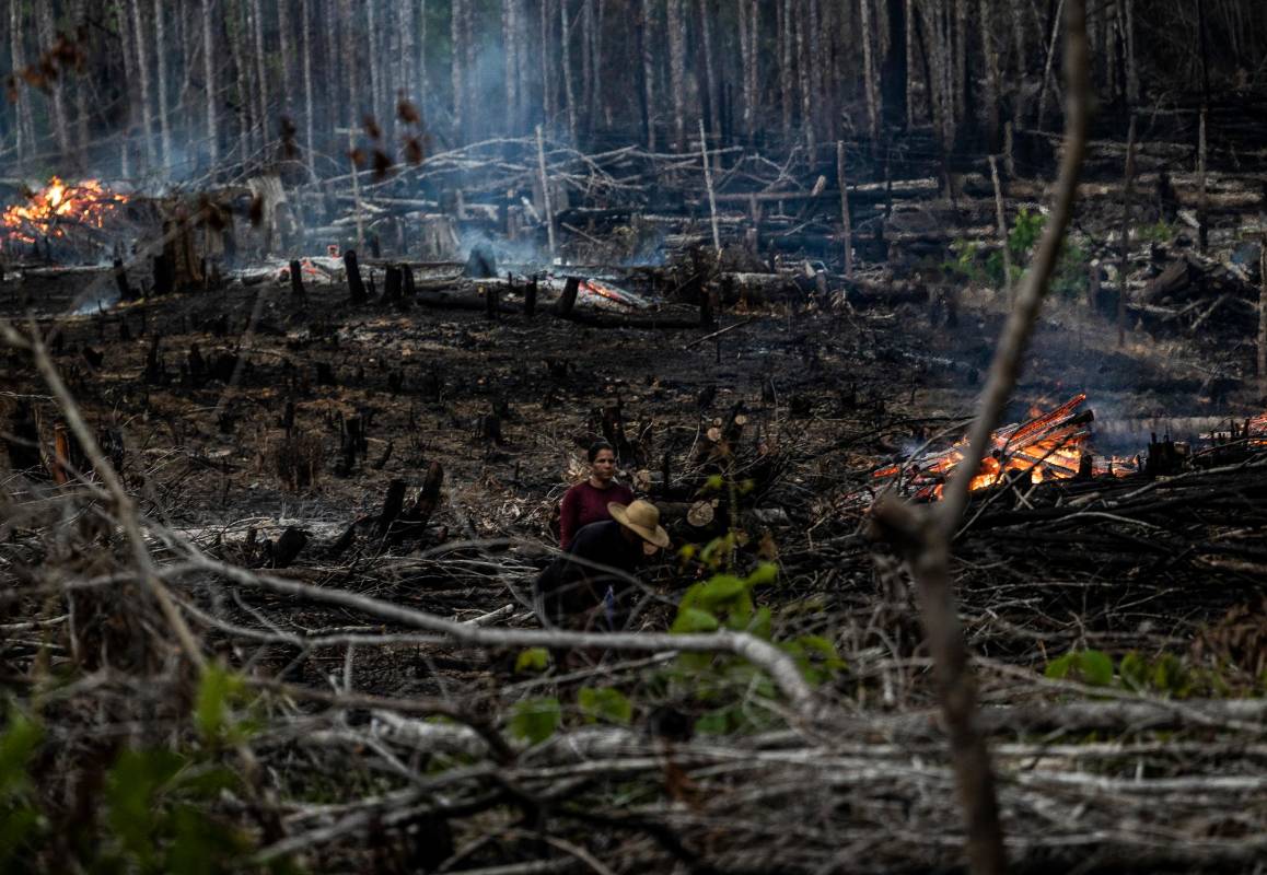 La vasta área que se abrirá alberga una alta biodiversidad y una rica diversidad de pueblos indígenas. Foto: AFP
