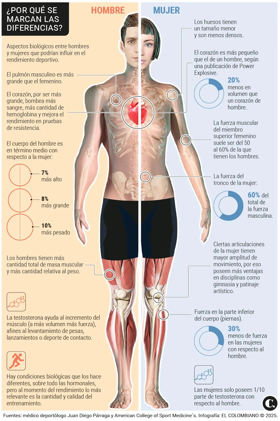 InfogrÃ¡fico