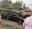 Así quedó la camioneta de Nicolás Hernández, defensa del América tras la emergencia que vivió mientras se desplazaba al entrenamiento en Cascajal. FOTO PANTALLAZO