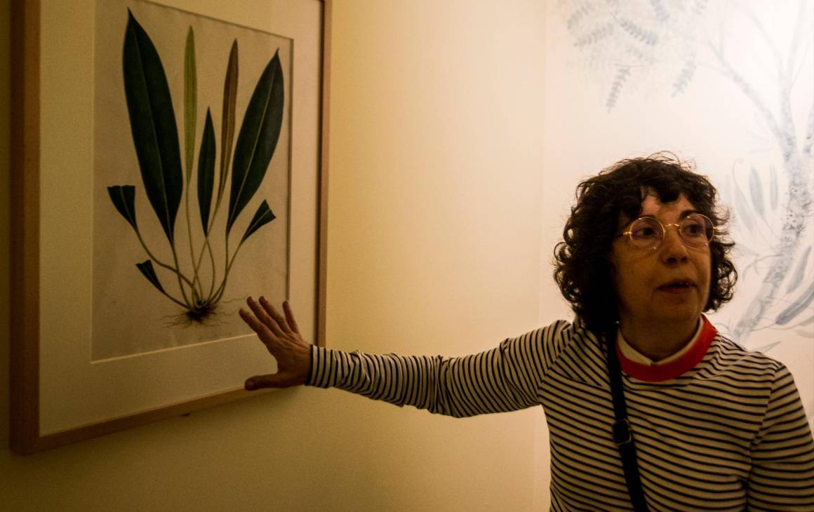 La curadora Esther García Guillén explicando uno de los dibujos de la exposición. Foto: Julio César Herrera 