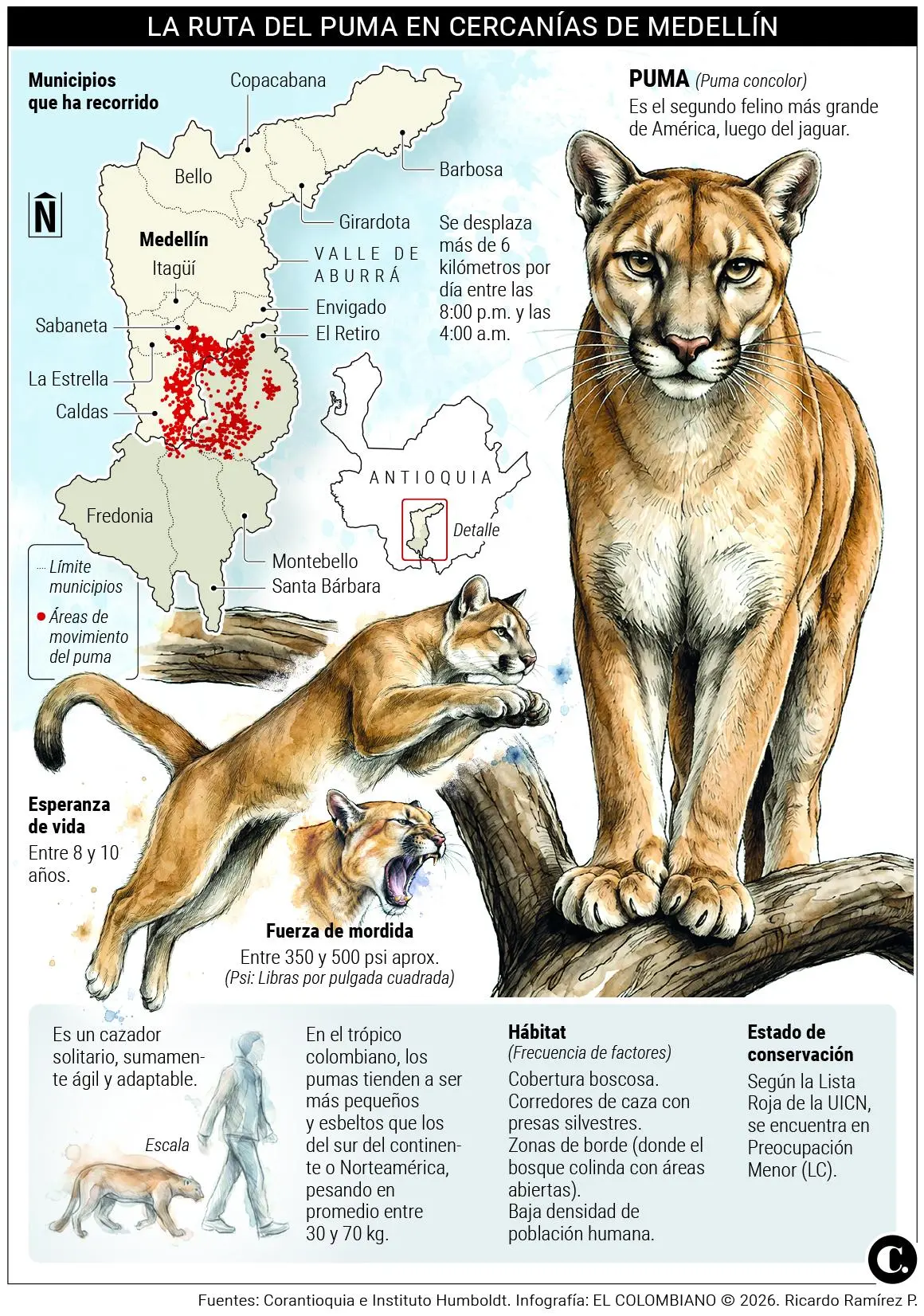 InfogrÃ¡fico