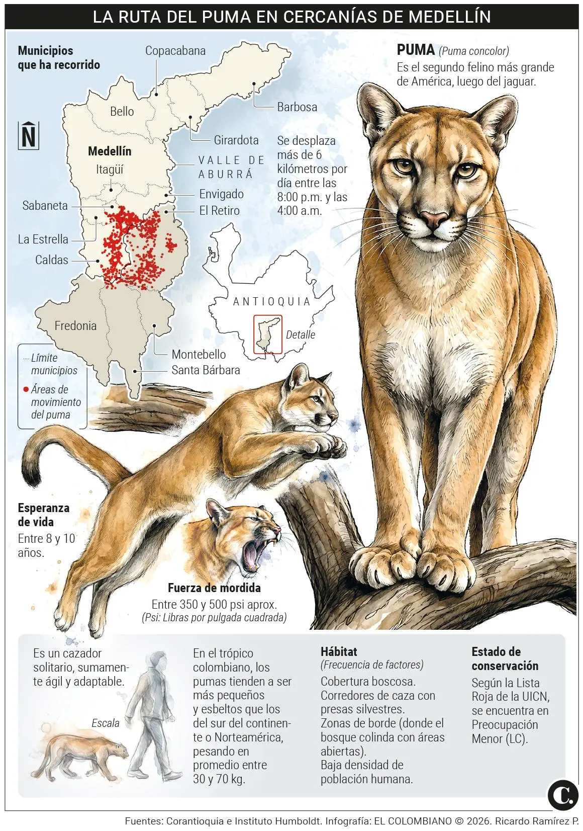 InfogrÃ¡fico