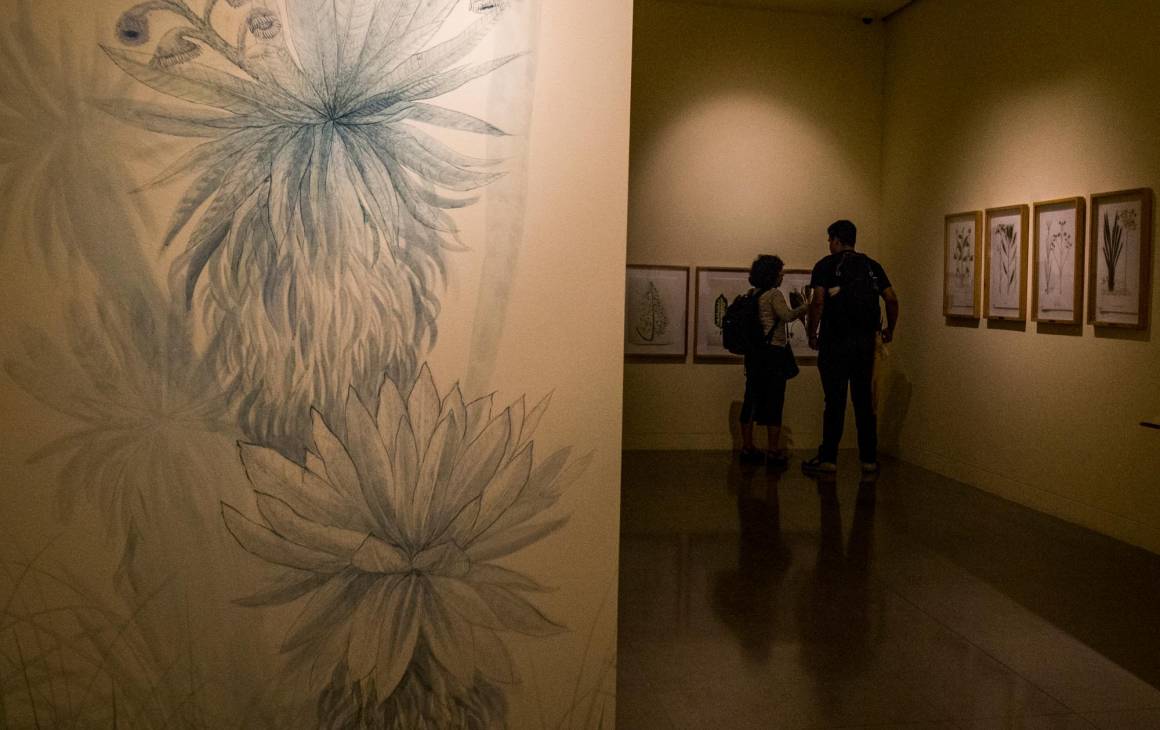 La exposición se ve en la sala Historias para Repensar del Museo de Antioquia. Foto: Julio César Herrera.