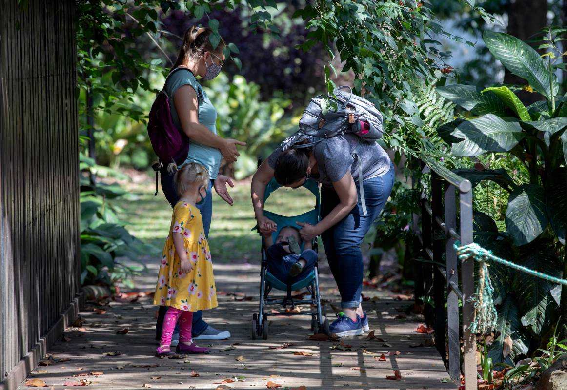 Para sostenerse, el Jardín Botánico le está apostando a matrimonios y reuniones privadas de pocas personas. Foto: Manuel Saldarriaga Quintero.