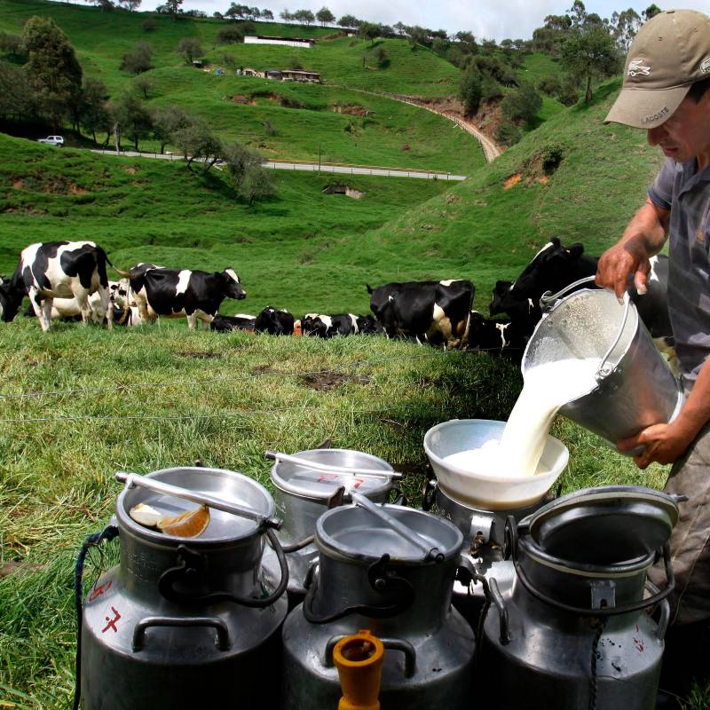 Se espera beneficiar a productores en 32 departamentos. FOTO: EL COLOMBIANO
