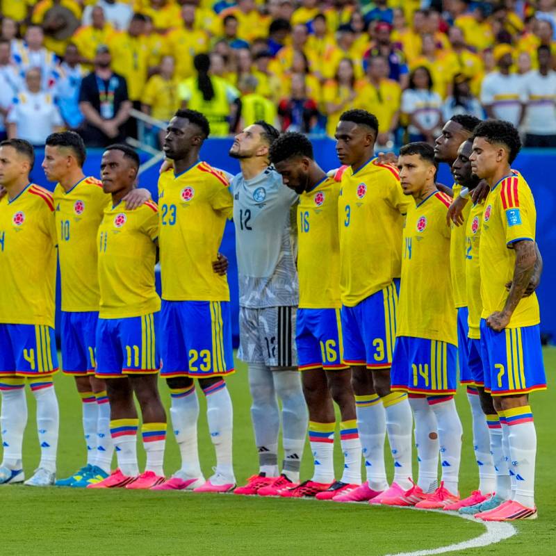 Después del Mundial, la Selección Colombia se alista para jugar cinco partidos amistosos. El penúltimo será en Cali: Juan Antonio Sánchez Ocampo