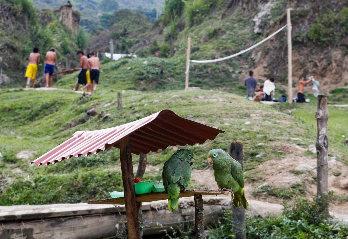 Foto: Manuel Saldarriaga Quintero.