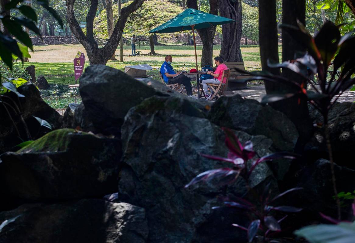 El Jardín Botánico de Medellín es un espacio cultural y natural creado hace 48 años, pero con raíces en las postrimerías del siglo XIX. Foto: Manuel Saldarriaga Quintero. 