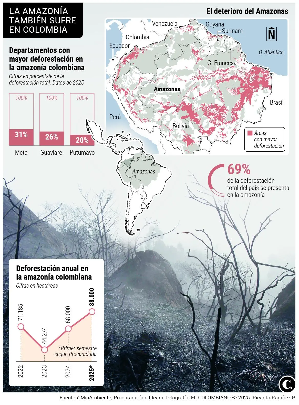 InfogrÃ¡fico