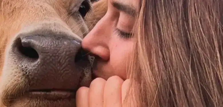 Una vaca le dio vida a un santuario de segundas oportunidades