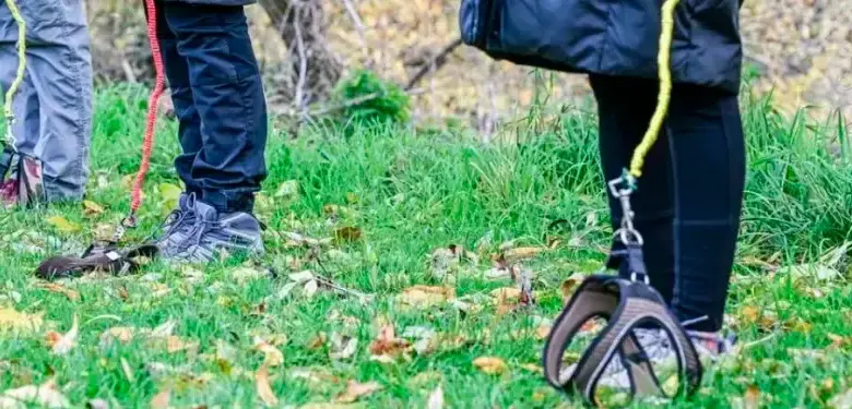 Conozca el ‘Hobby Doggy’, otra tendencia animal que compite con los Therian