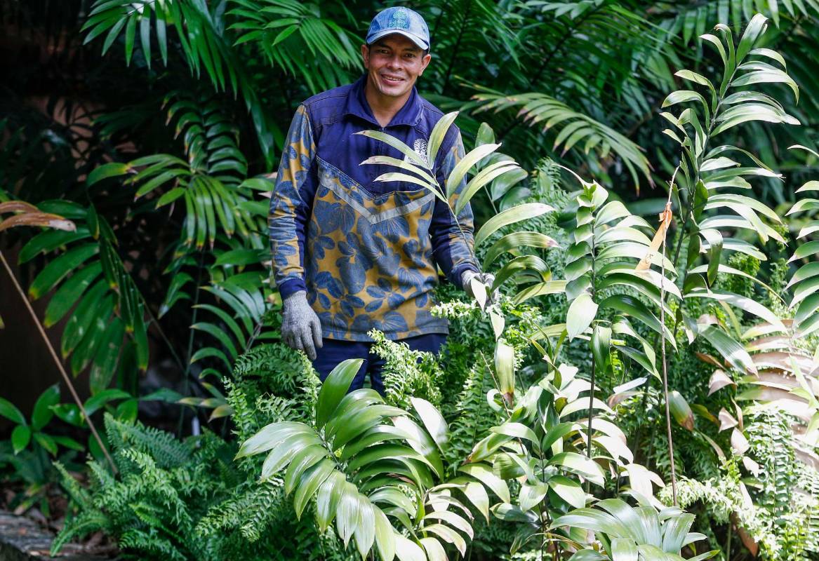 Carlos Enrique Manco, 40 años de edad y 5 años laborando en el Jardín Botánico. Foto: Manuel Saldarriaga Quintero.