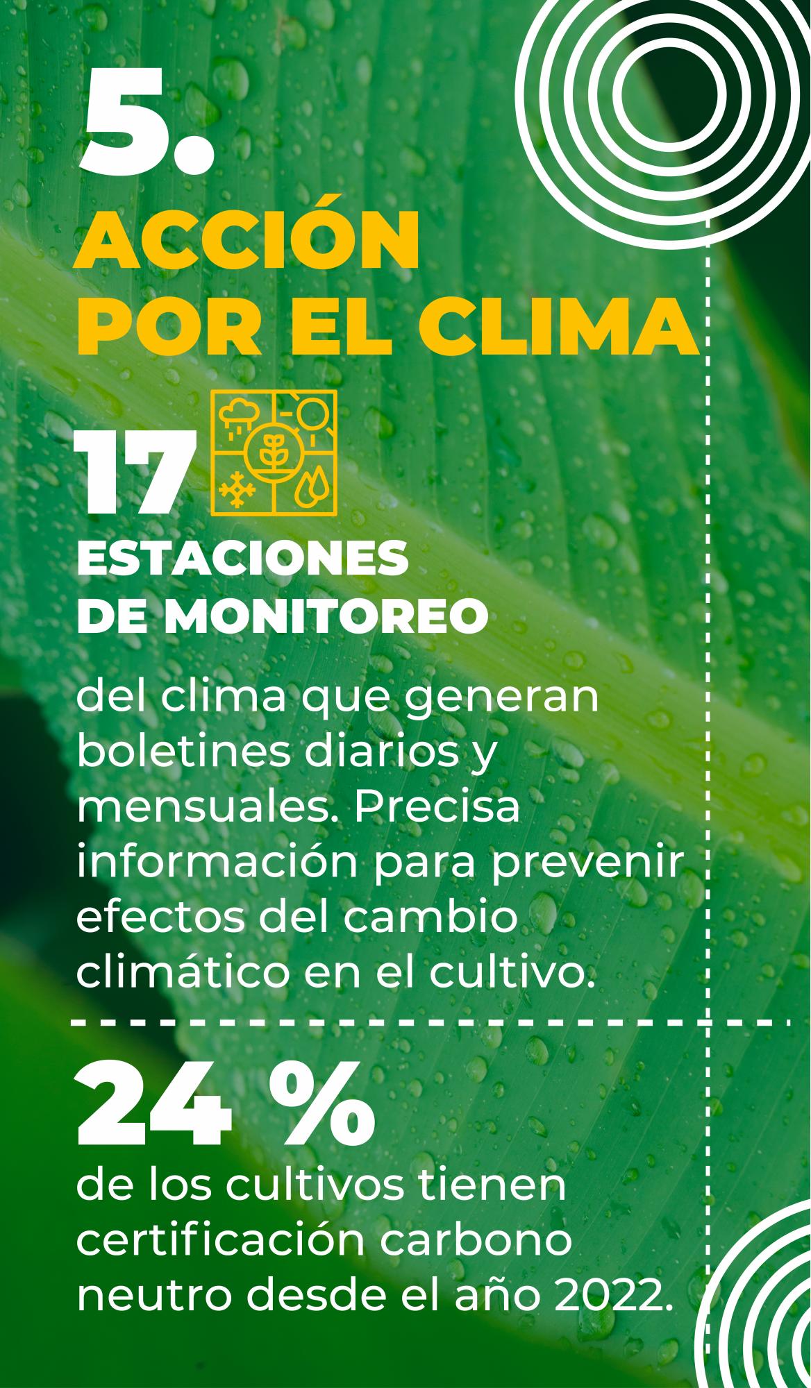 Sector bananero, protagonista en la protección del medio ambiente en Urabá