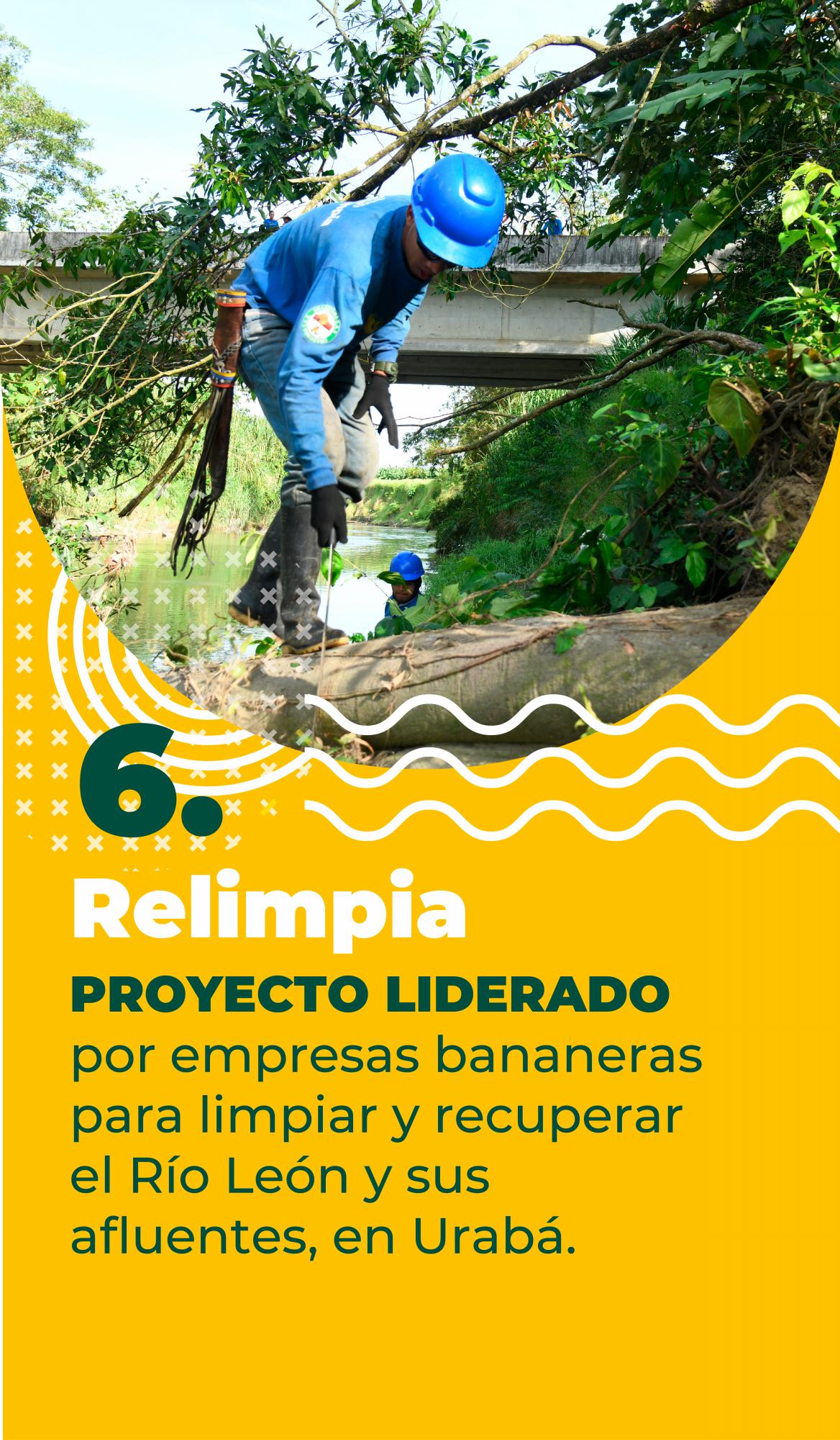 Sector bananero, protagonista en la protección del medio ambiente en Urabá