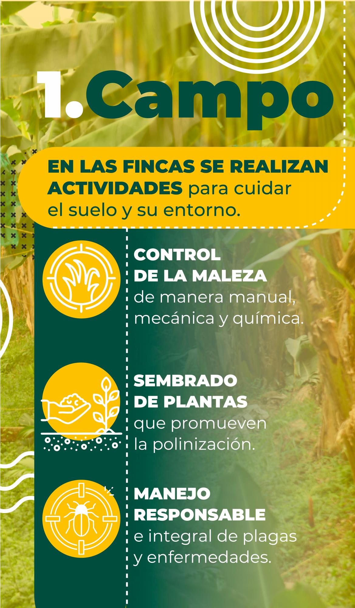 Sector bananero, protagonista en la protección del medio ambiente en Urabá