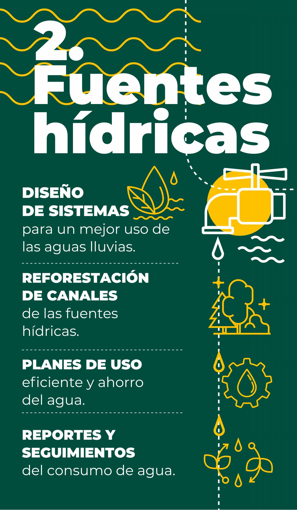 Sector bananero, protagonista en la protección del medio ambiente en Urabá