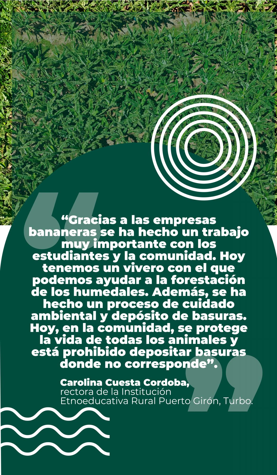 Sector bananero, protagonista en la protección del medio ambiente en Urabá