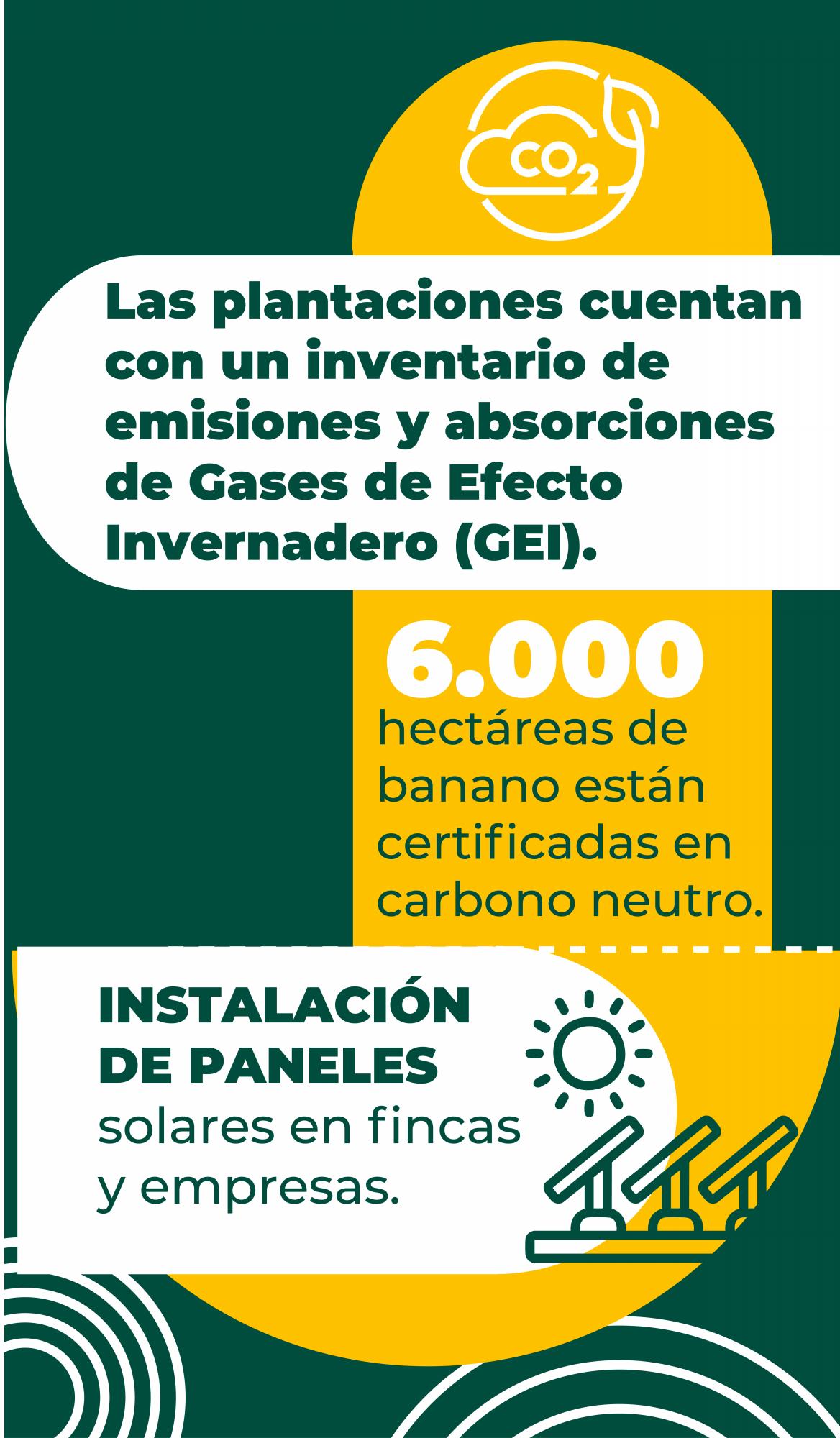 Sector bananero, protagonista en la protección del medio ambiente en Urabá