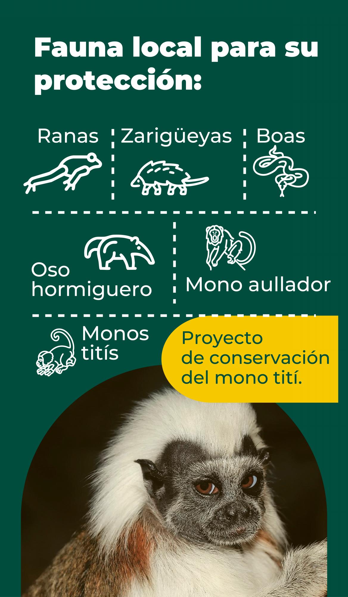 Sector bananero, protagonista en la protección del medio ambiente en Urabá