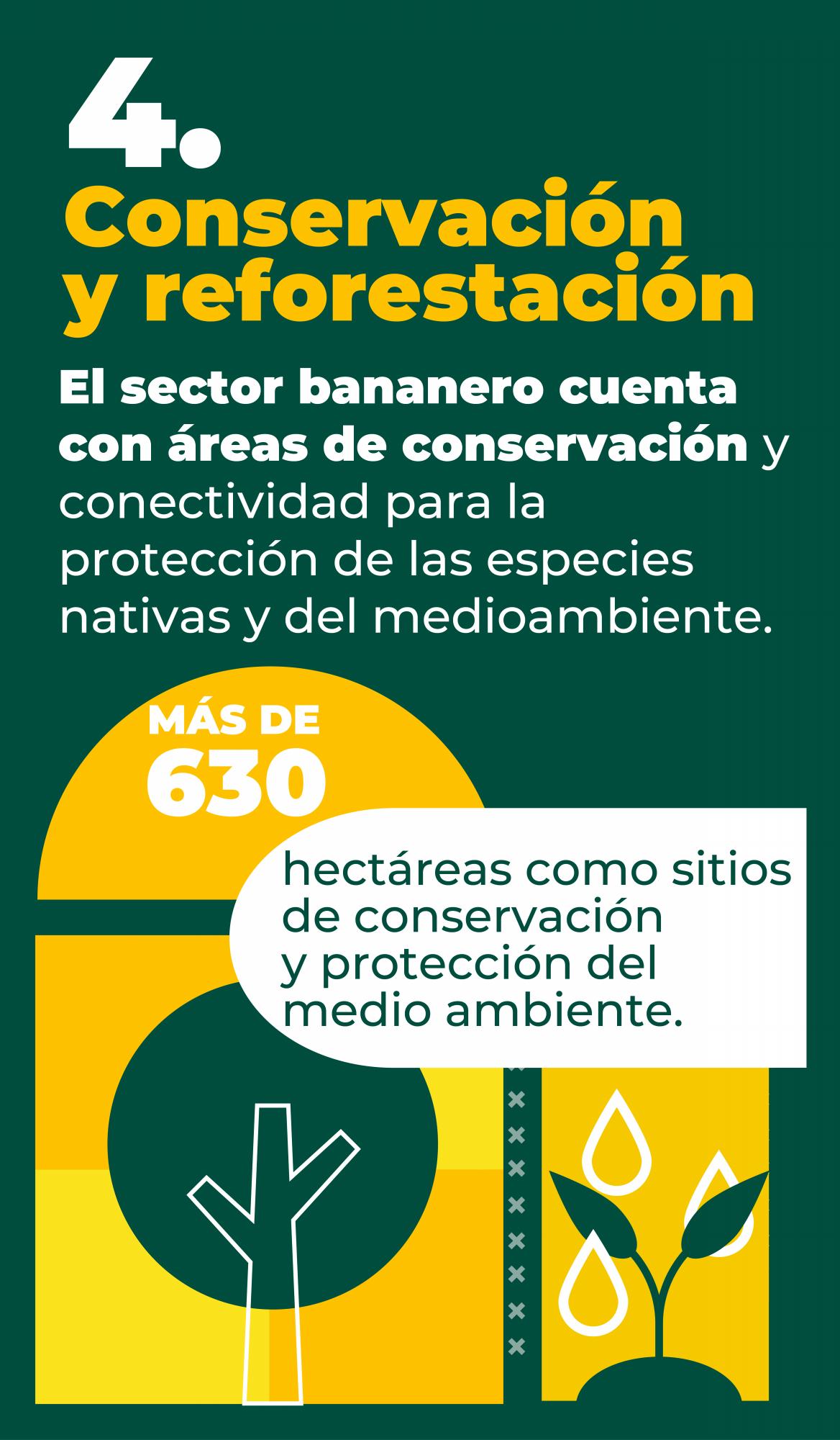 Sector bananero, protagonista en la protección del medio ambiente en Urabá