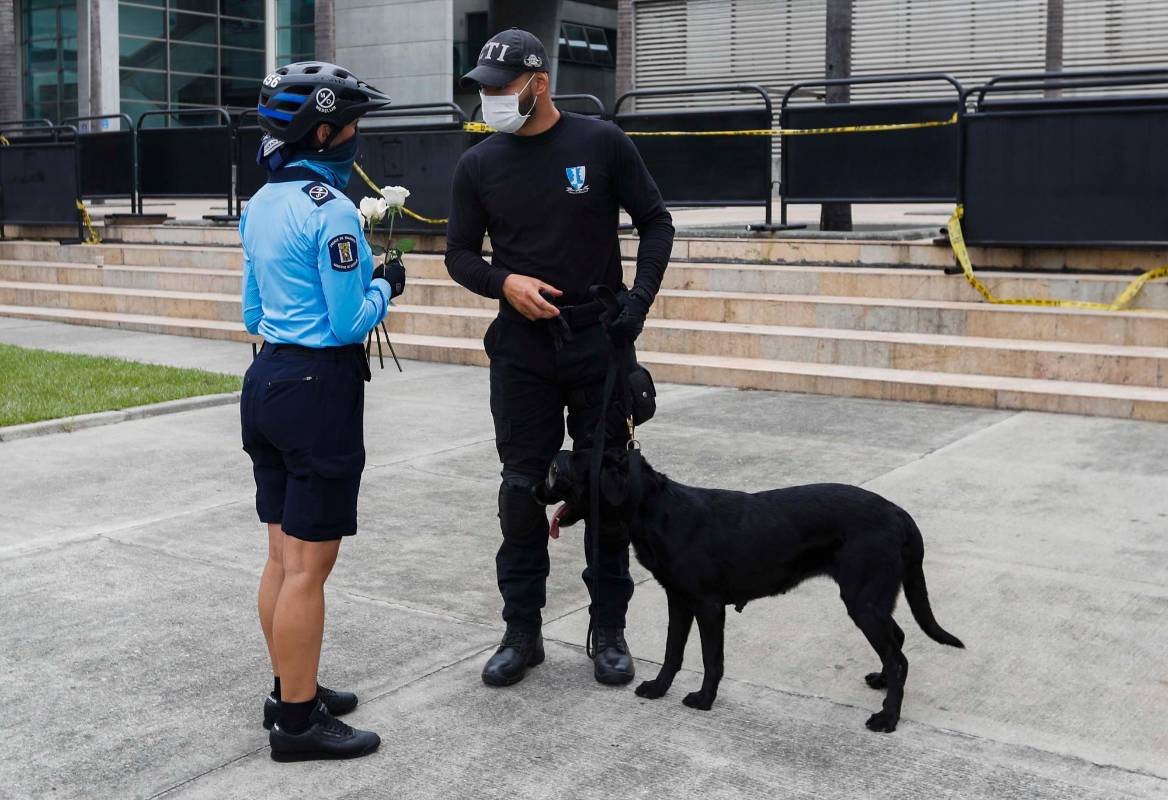 Primer muerto en un accidente de tránsito desde que se redujo el límite de velocidad a 50 kilómetros por hora. Fue un peatón que lo arrolló un vehículo en la madrugada del pasado domingo y quien murió en Policlínica. Foto: Manuel Saldarriaga Quintero.