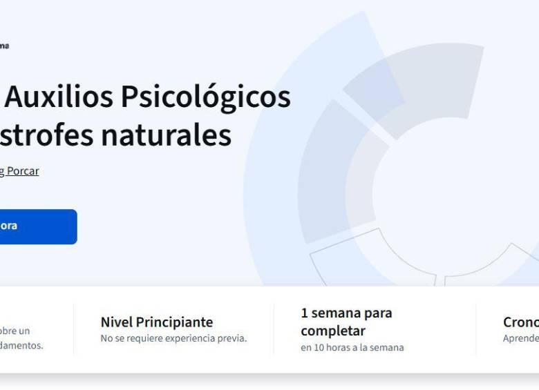 El curso completo acumula más de 600.000 inscripciones y mantiene una calificación de 4,9 sobre 5 en la plataforma.