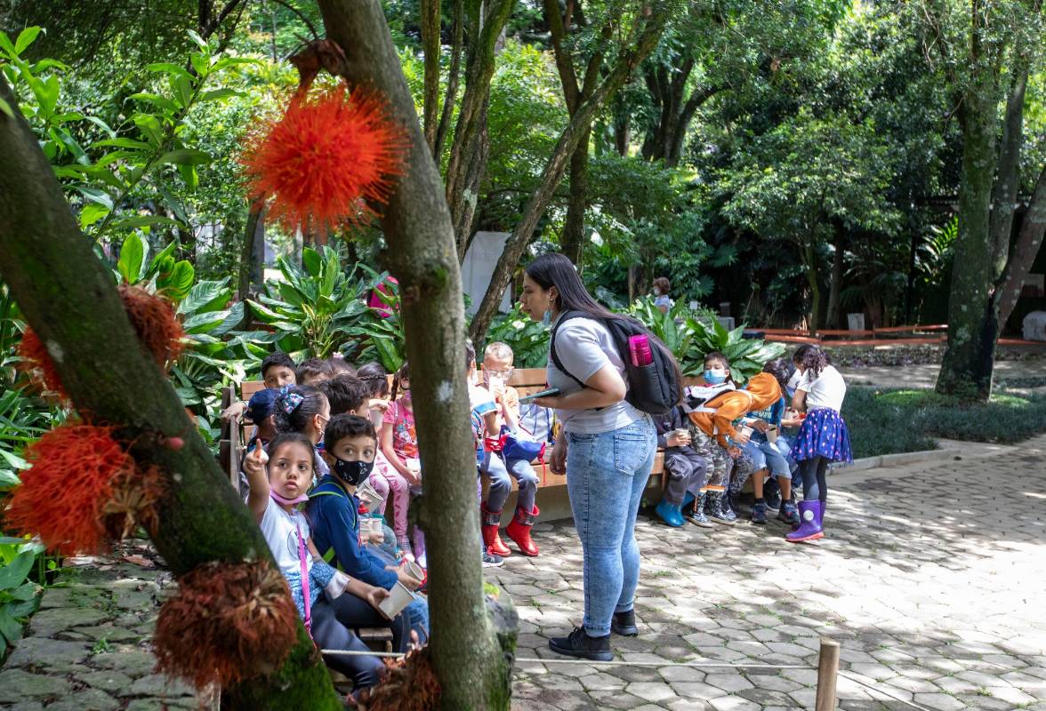 El laboratorio de agricultura urbana, sitio donde se encuentra la colección de plantas aromáticas y medicinales, espacio que es una aula viva para compartir con los visitantes. Foto: Edwin Bustamante
