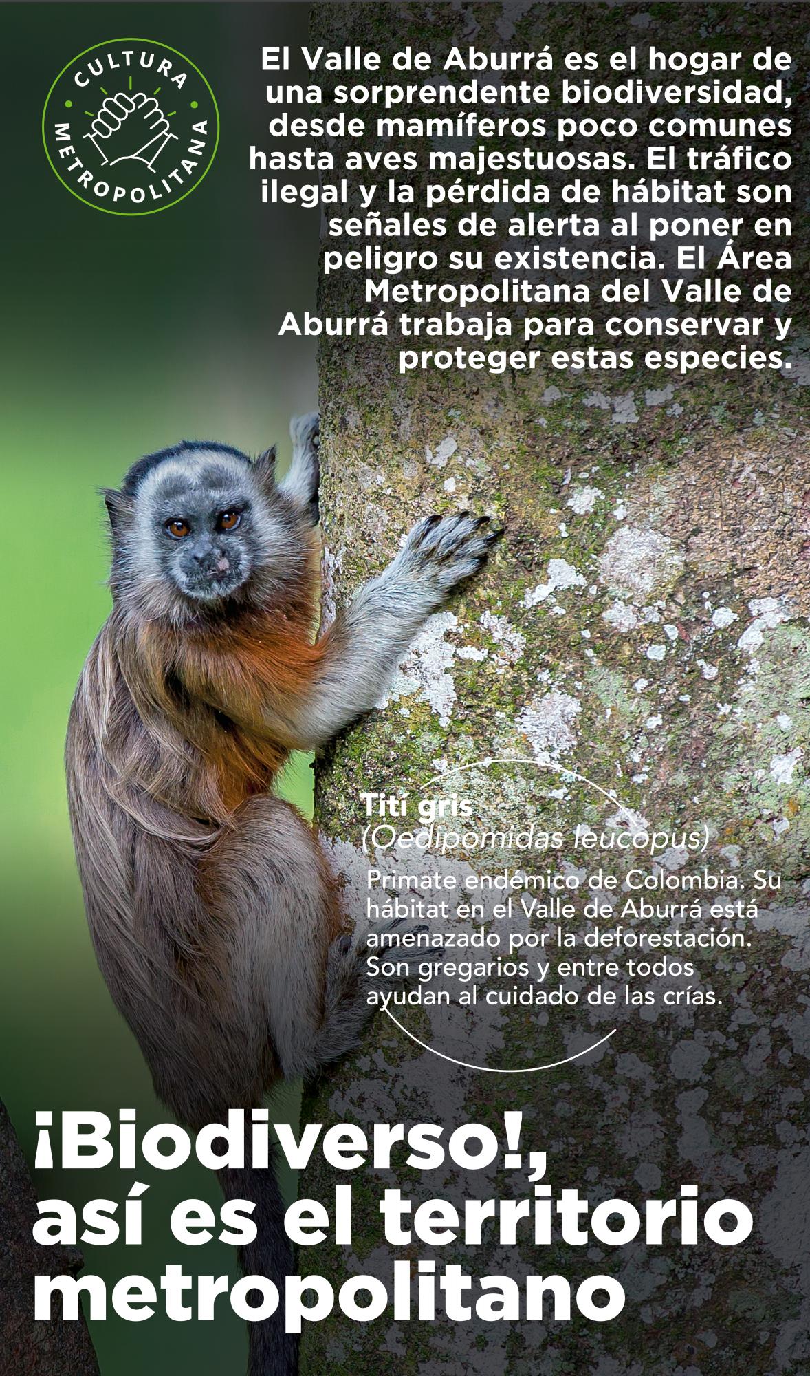 Así es la biodiversidad en el Área Metropolitana
