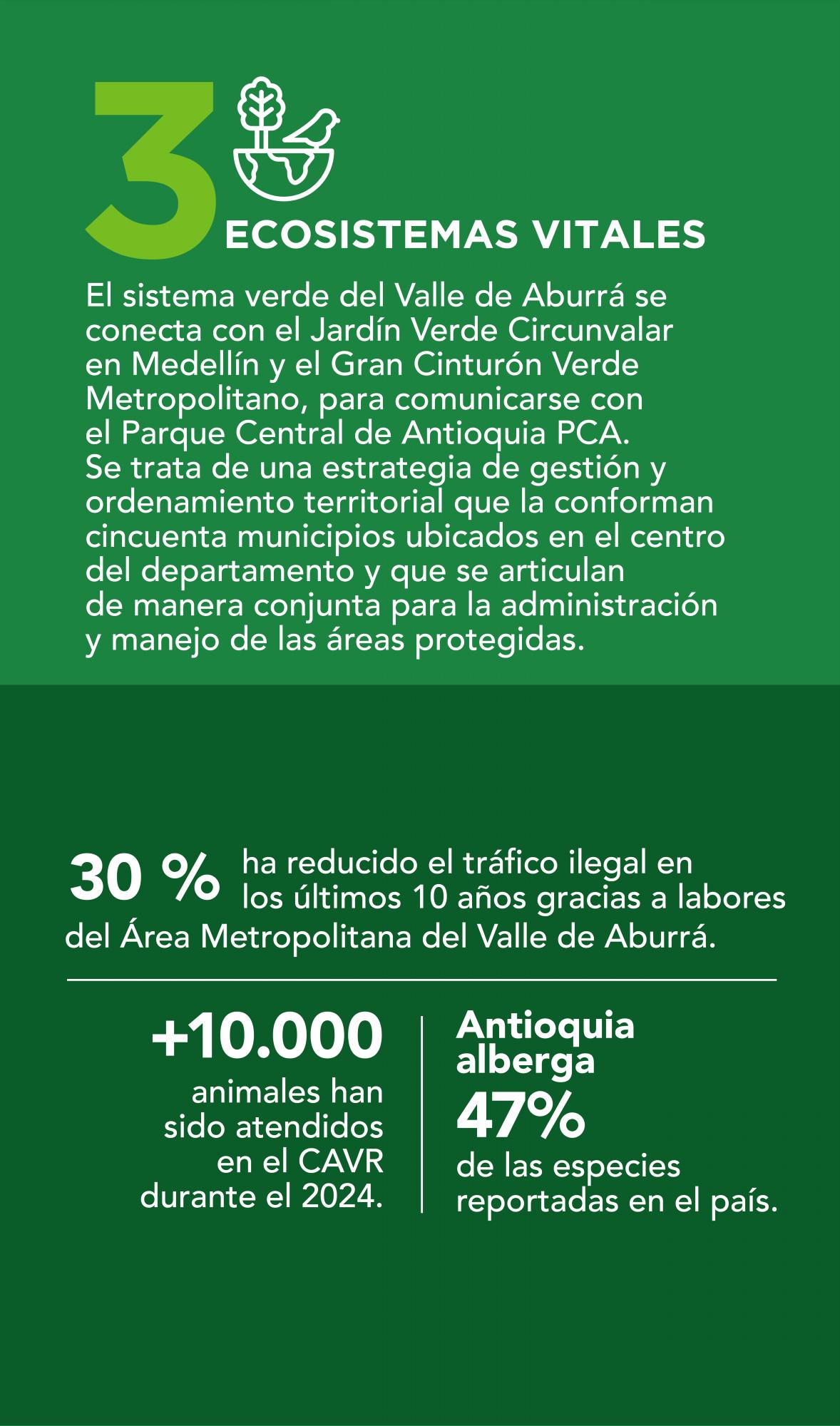 Así es la biodiversidad en el Área Metropolitana