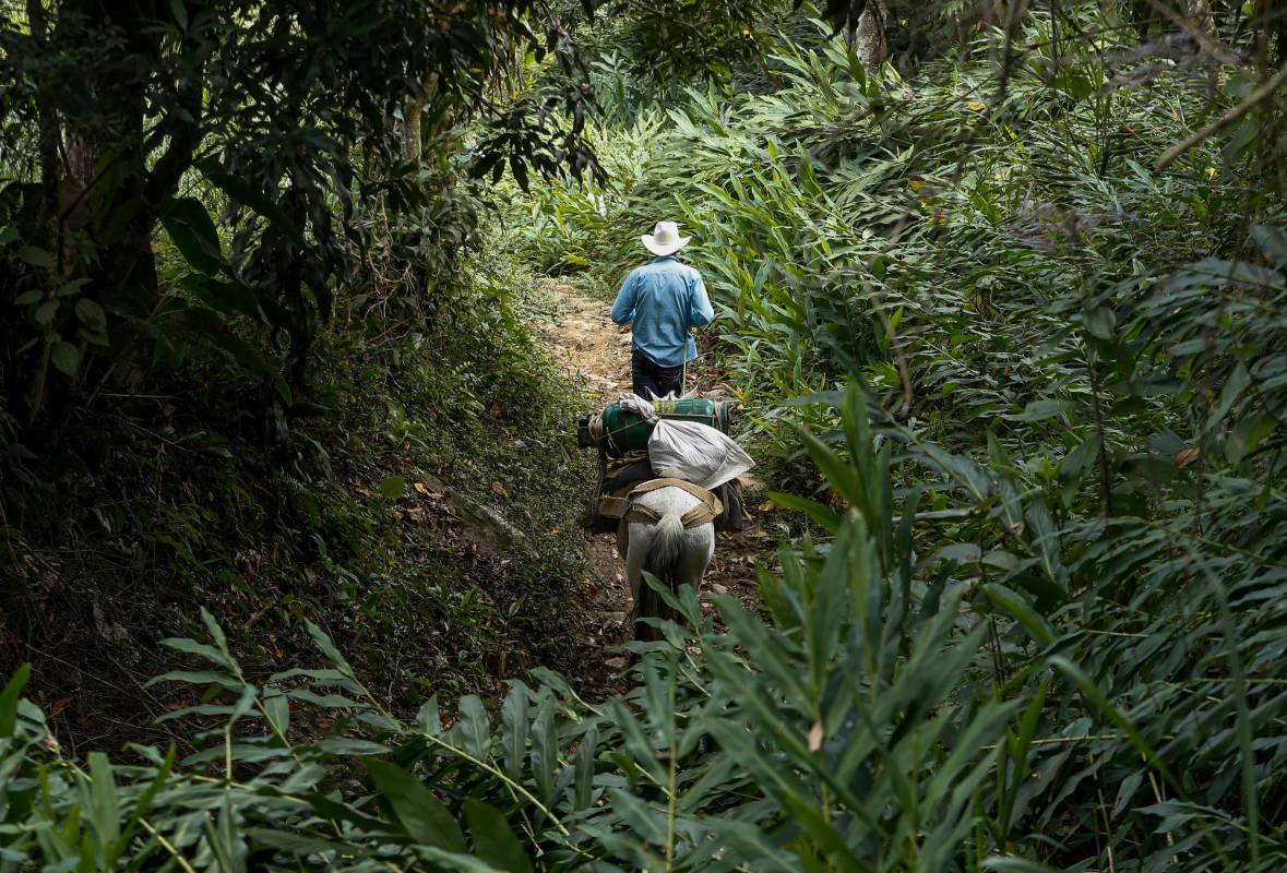 El viaje es una meditación silenciosa por los caminos de ese paraje que se levanta desde el cañón del río hasta los farallones y cuchillas montañosas. Foto: Manuel Saldarriaga Quintero.