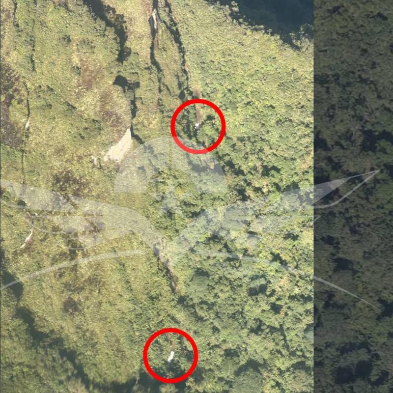 La Fuerza Aérea, en un sobrevuelo, ubicó el sitio exacto donde se accidentó la aeronave que había salido el domingo pasado desde Condoto, Chocó. Foto: Fuerza Aérea
