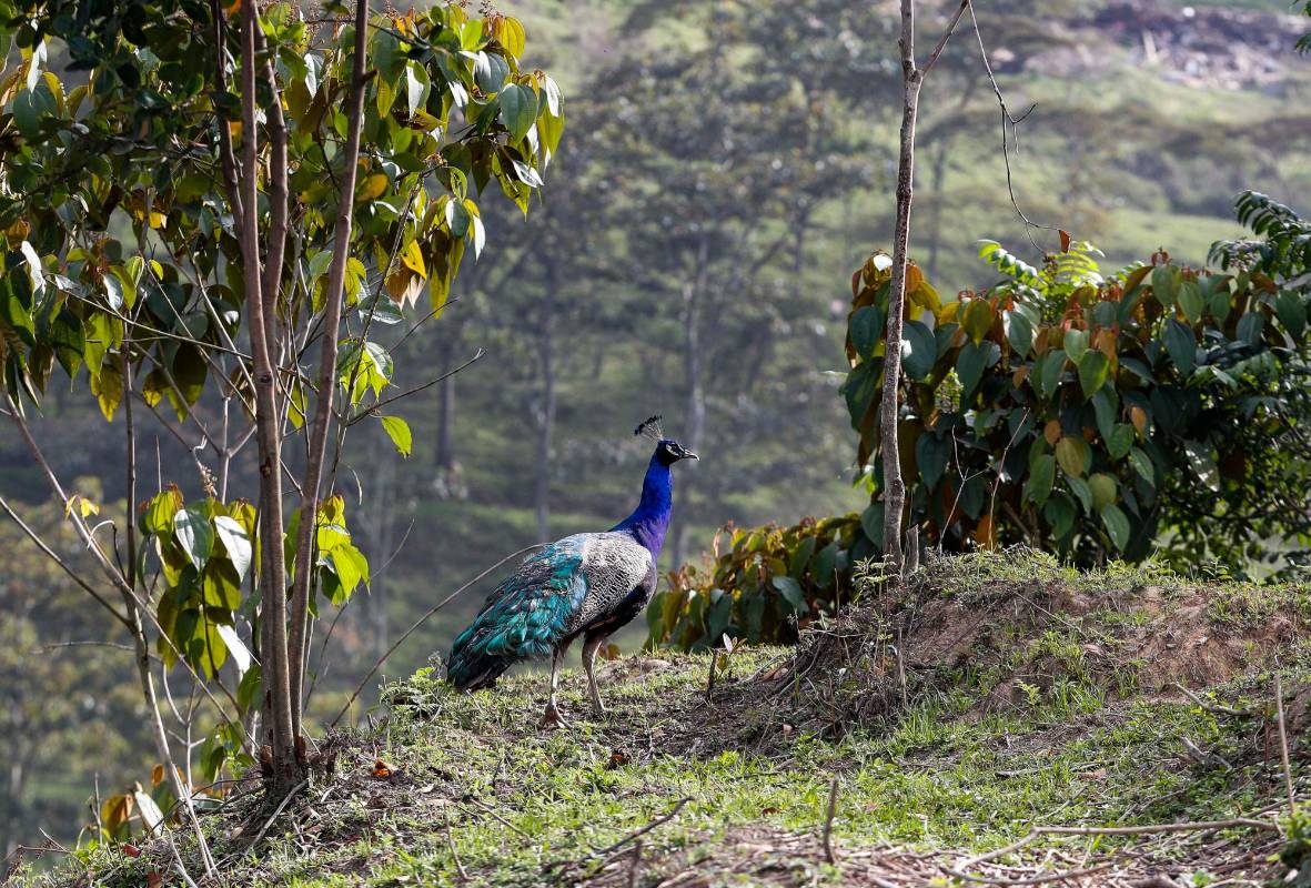 El parque está en Altos de San Juan, en un lugar que es conocido como La Escombrera. Foto: Manuel Saldarriaga Quintero.