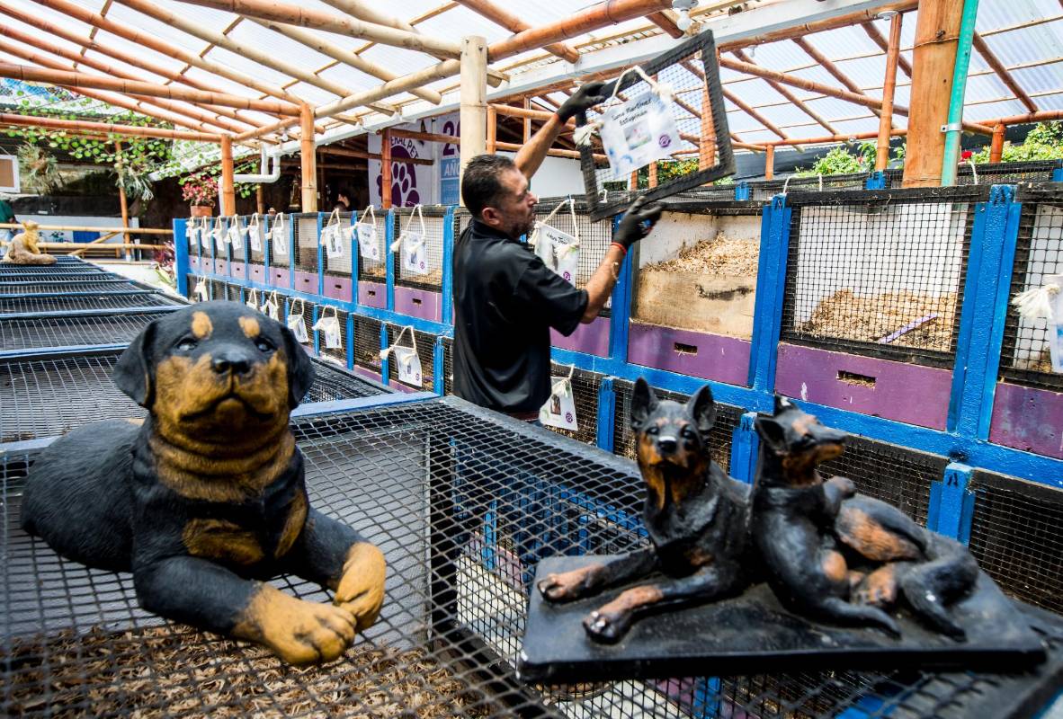 También se puede escoger la bioinhumación, es decir, que enterrado en un santuario individual el cuerpo haga una transformación natural que puede usarse, incluso, como abono. Fotos: Julio César Herrera
