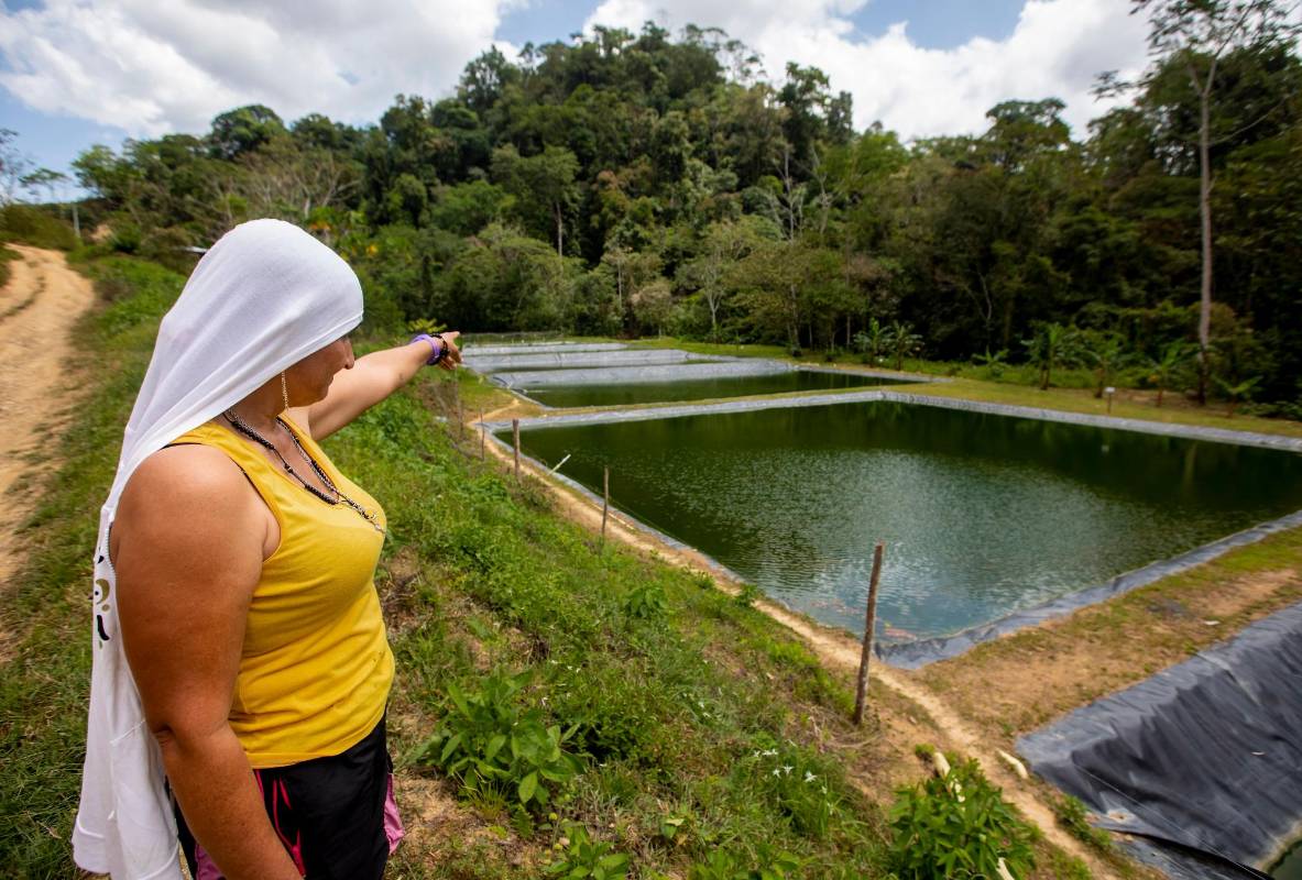 Liliana Tavera, conocido en sus días de guerra como ‘Adriana’ (foto), es una de las excombatientes que trabaja en el proyecto. El propósito a futuro es llegar a tener 60.000 peces en los estanques Foto : Camilo Suárez