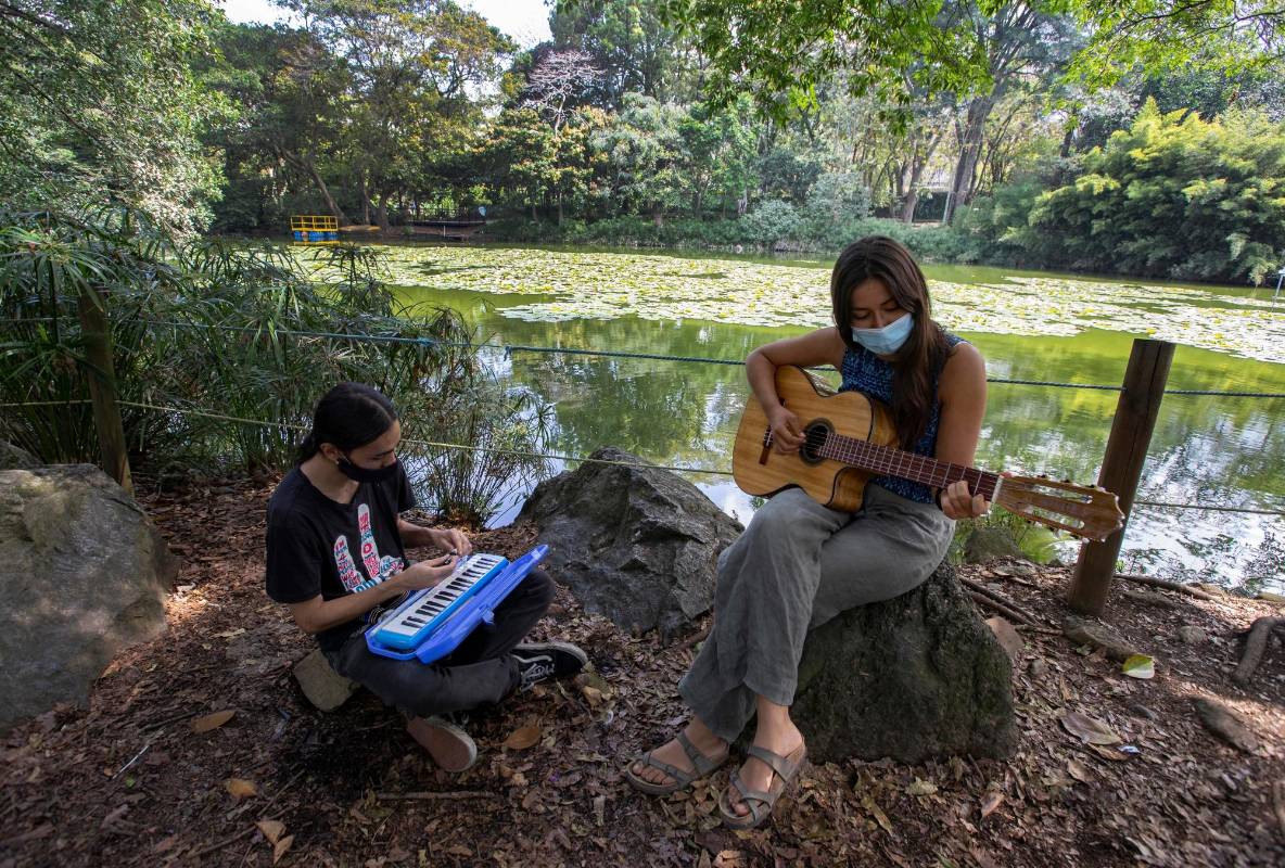 La historia de decadencia del Jardín Botánico comenzó en 2020. Según García, su directora, los ingresos de la entidad están divididos en dos bloques. El primero de ellos, y el más representativo, proviene de la contratación con la Alcaldía de Medellín, que representa un 65 % del total. Foto: Manuel Saldarriaga Quintero.