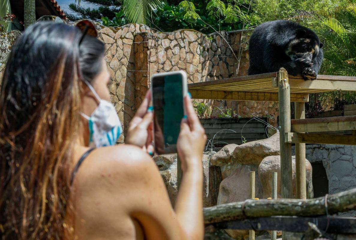 Se deben ingerir alimentos antes de la visita, pues por estos días de distanciamiento físico el Parque no dispondrá de cafeterías y de restaurantes. Foto : Manuel Saldarriaga