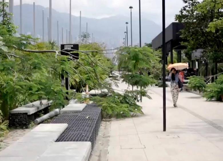 En Parques del Río cubren los espacios donde las personas se pueden sentar. FOTO Andrea Orozco