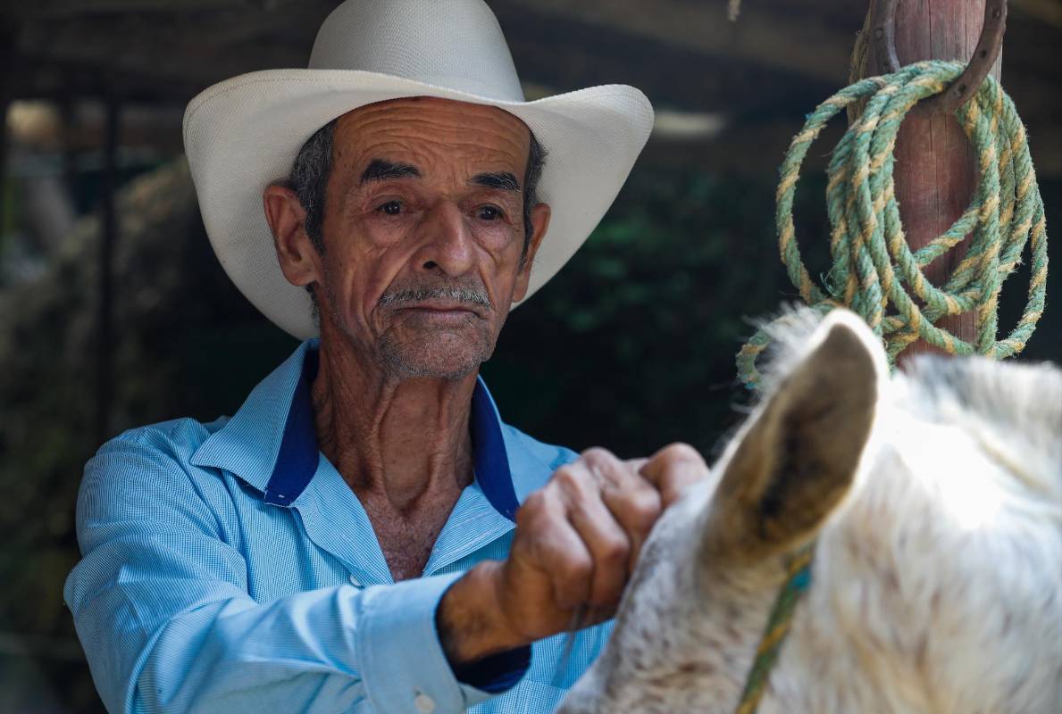 Del esplendor de otrora no queda ni rastro en la senda que recorren Gustavo, de 74 años, y Jalisco, emisario para ir hacer las compras al pueblo. Foto: Manuel Saldarriaga Quintero.