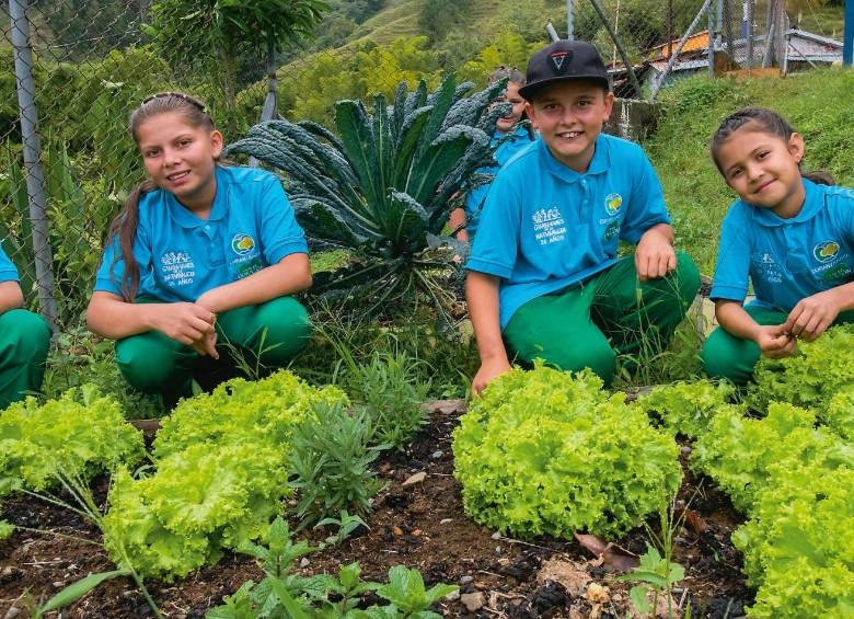 Gracias a las ecoescuelas, los niños de Valparaíso y Santa Bárbara ahora son guías, pajareros e investigadores