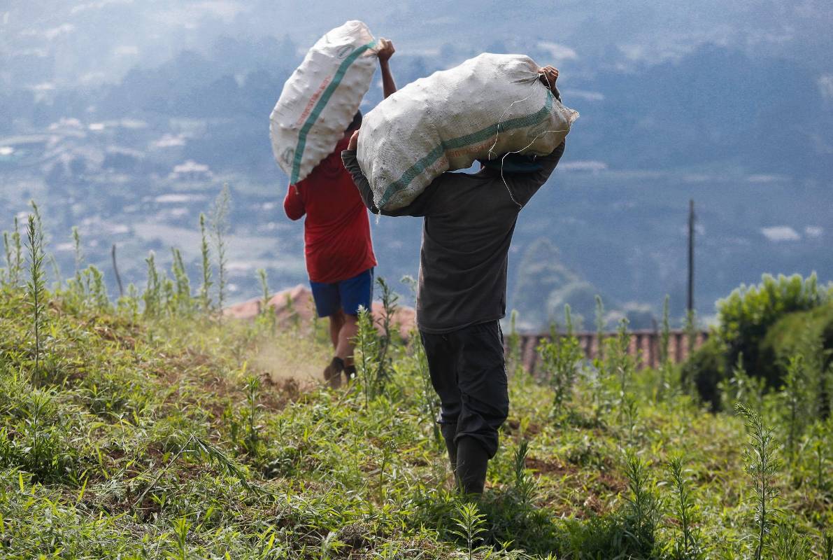La promoción del Agro mercado se hace de manera institucional, a través de la Alcaldía, la página Web, la emisora comunitaria y las redes sociales institucionales. Foto: Manuel Saldarriaga Quintero.
