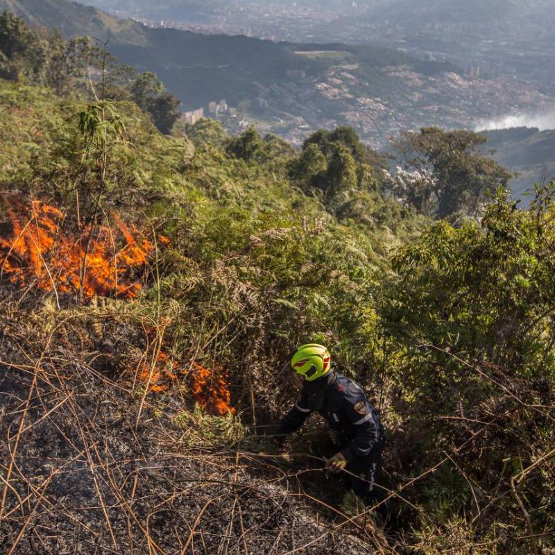 Las autoridades advierten sobre mayor riesgo de incendios forestales, reducción de caudales, afectaciones a la salud pública y presión sobre el suministro de agua y energía. Foto: cortesía Alcaldía de Medellín.