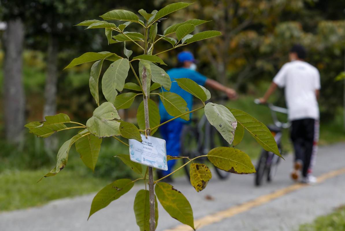 El Camino de la vida está ubicada en la calle 77 sur, en el municipio de La Estrella. Foto: Manuel Saldarriaga Quintero.