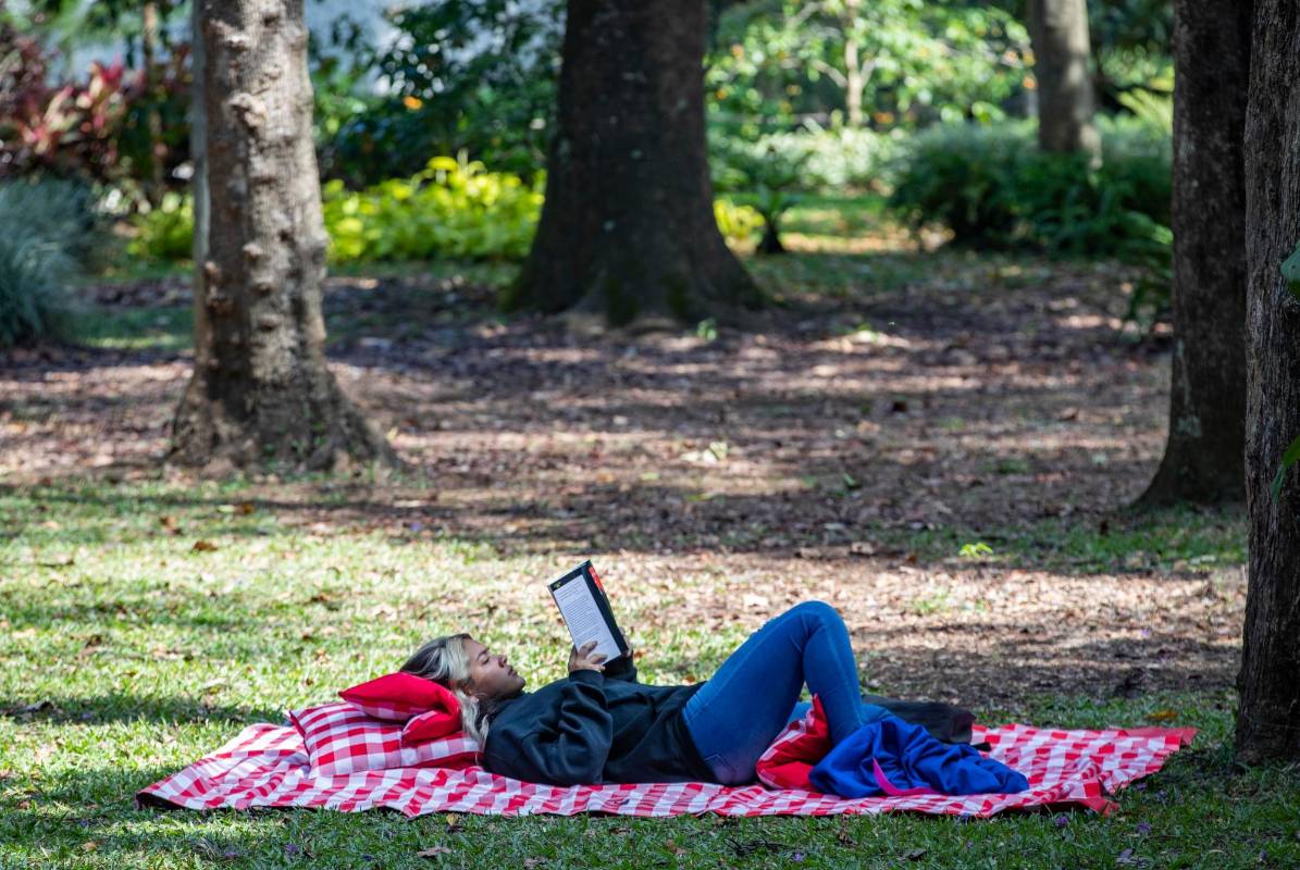 El Jardín Botánico de Medellín es un espacio cultural y natural creado hace 48 años, pero con raíces en las postrimerías del siglo XIX. Foto: Manuel Saldarriaga Quintero.