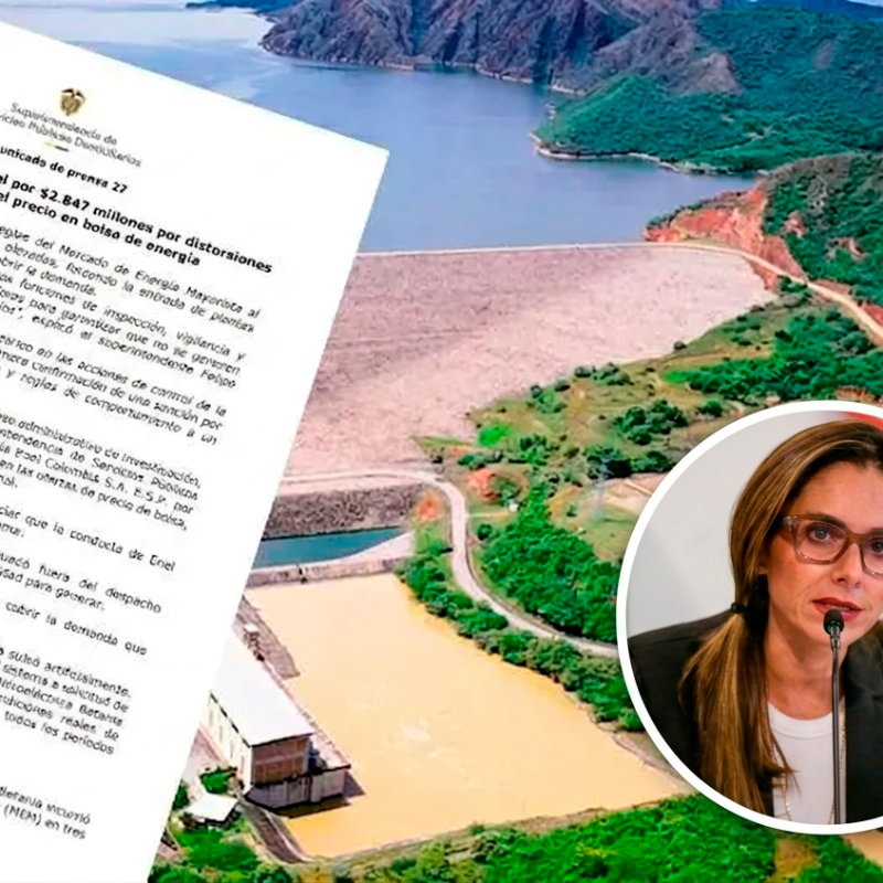Natalia Gutiérrez, presidenta de Acolgen y del Consejo Gremial, pidió garantías de independencia técnica y debido proceso frente a la investigación de la SIC. FOTO COLPRENSA.