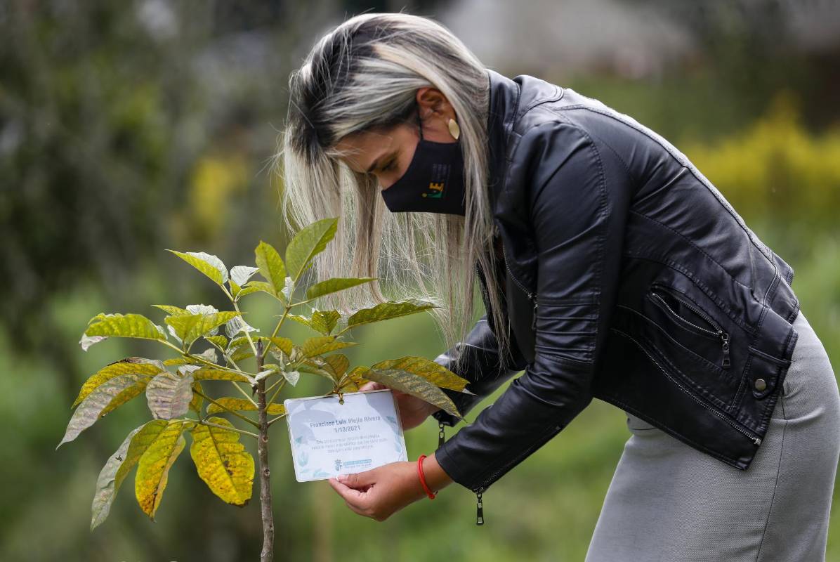 Para Mónica, la nieta de don Francisco Luis, la siembra del árbol ha sido un alivio para su dolor. Foto: Manuel Saldarriaga Quintero.